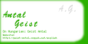 antal geist business card